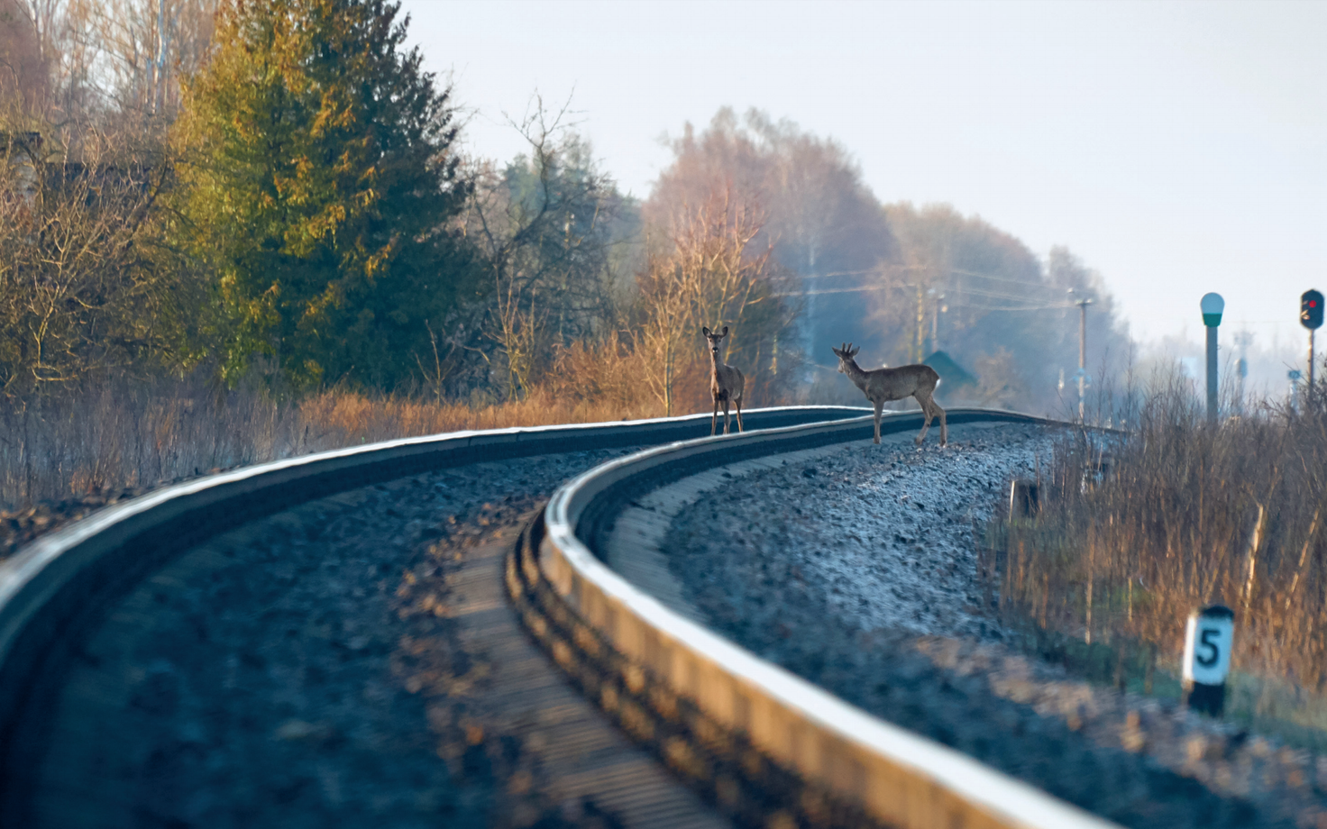 Иллюстративная фотография.
