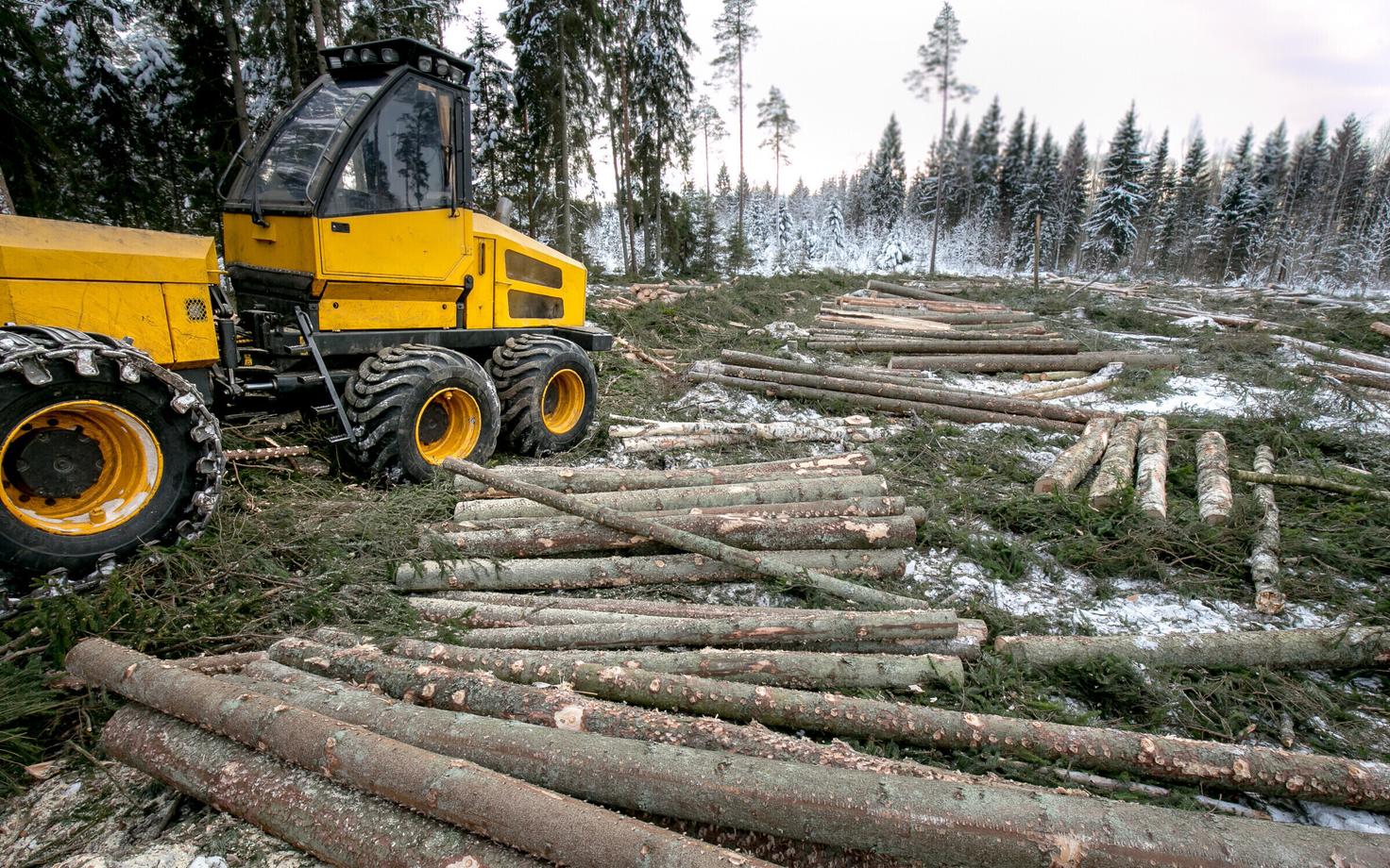 Иллюстративная фотография.