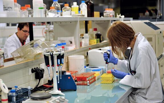 Paljud doktorandid veedavad suure osa oma õpingutest laboris.