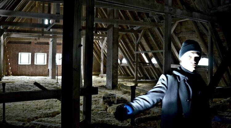 Kiwa Taagepera lossi pööningul.