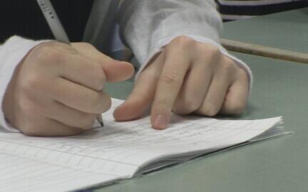 Õppetöö individualiseerimine aitaks kodutöid vähendada, aga praegu ei ole see võimalik.