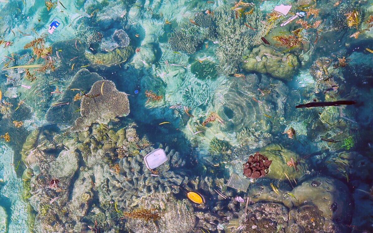 Merre sattunud plast kahjustab mereelustikku.