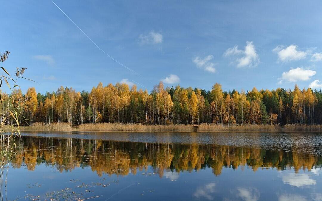 Martiska järve tase langes paari aasta jooksul 1,8 meetri võrra.
