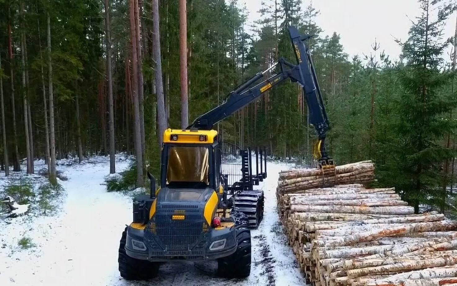 Вырубка леса.