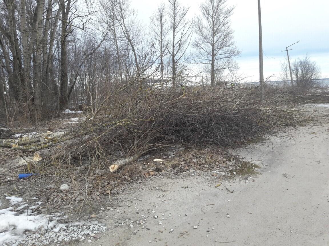 Raietööd Reidi tee trassil.