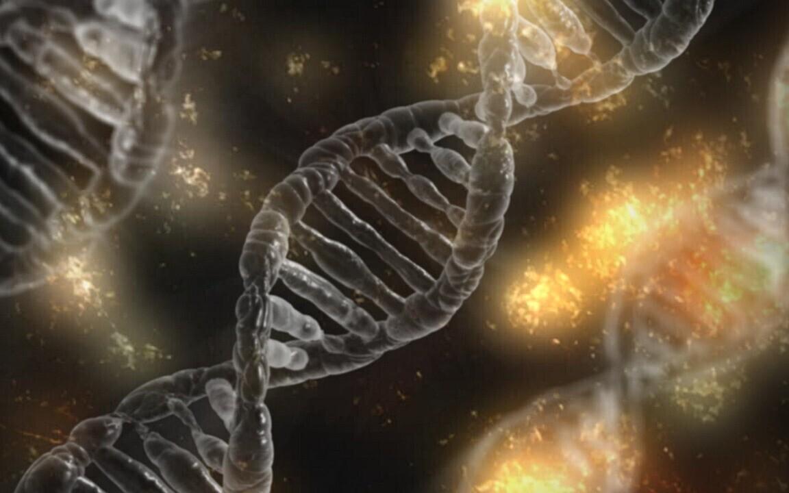 DNA võib elu jooksul keskkonnategurite tõttu muutuda.