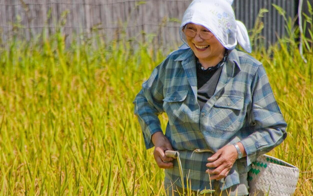 Pilt on illustreeriva tähendusega.