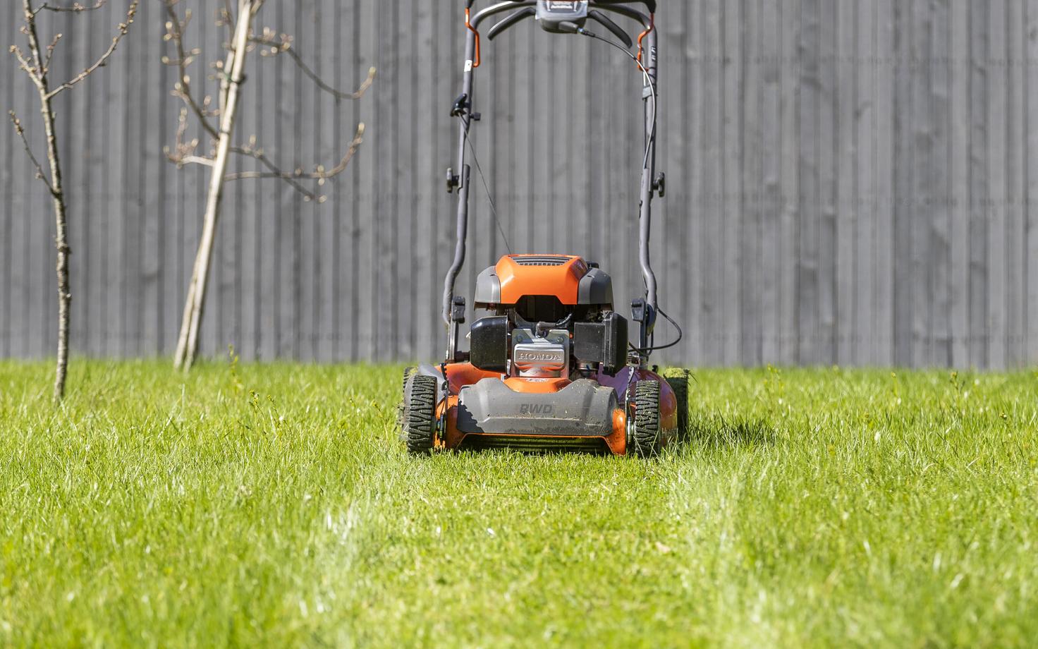 Иллюстративное фото.