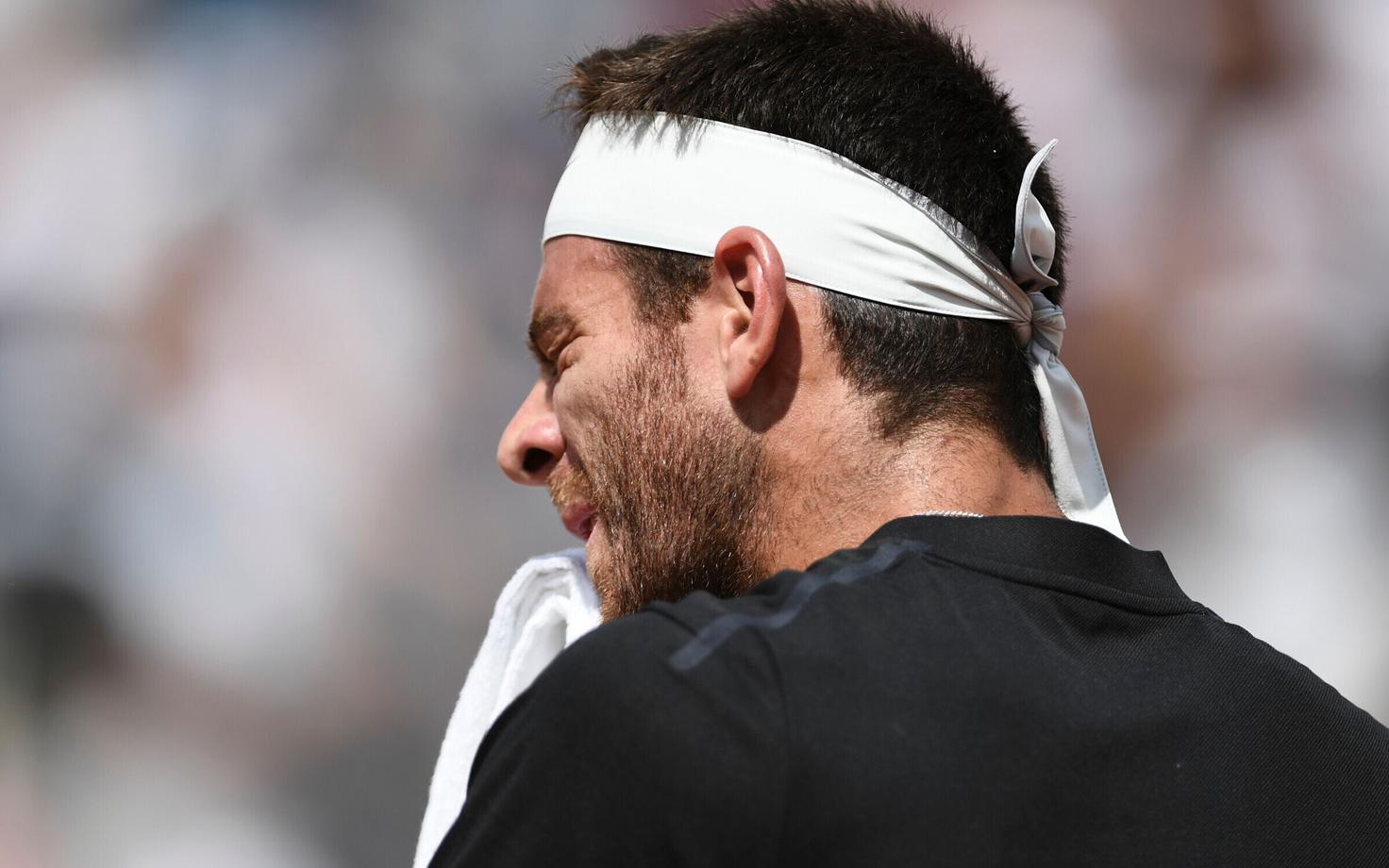 Juan Martin del Potro