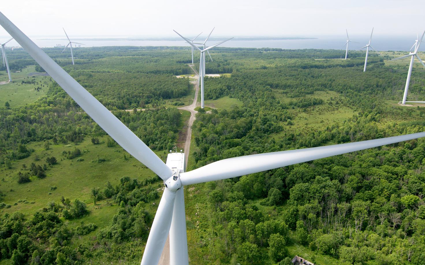 Paldiski tuulepark.