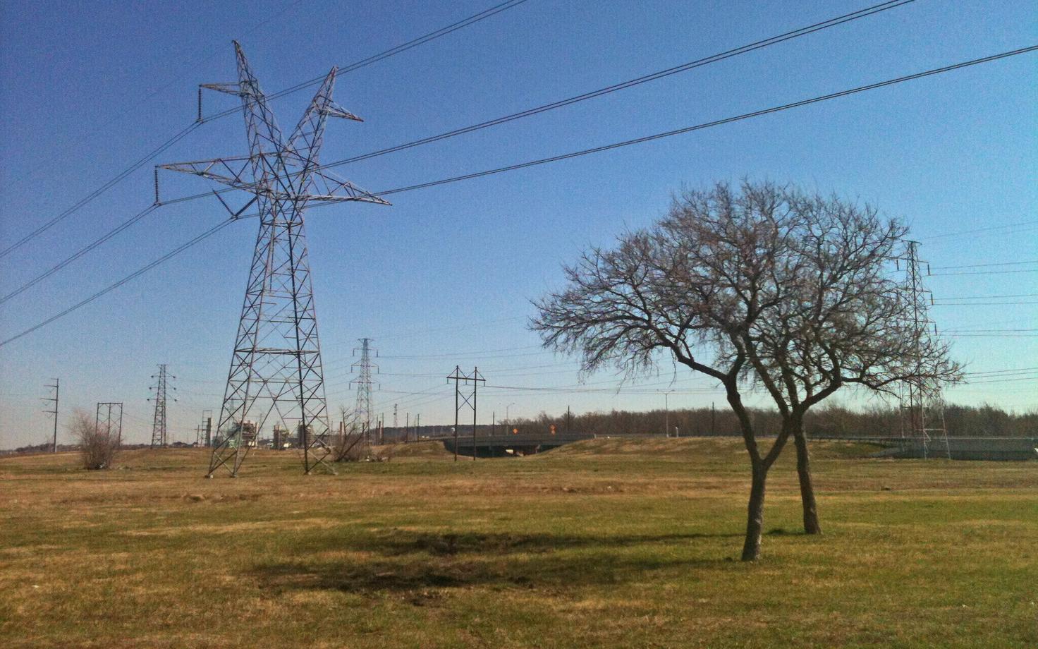 Иллюстративная фотография.