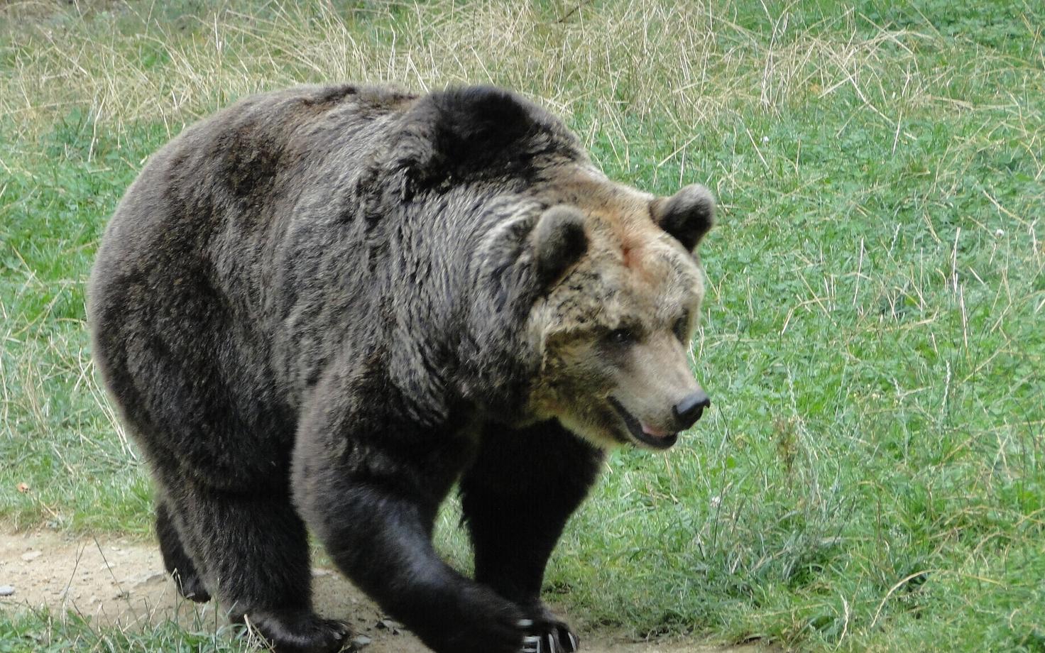 Иллюстративная фотография.