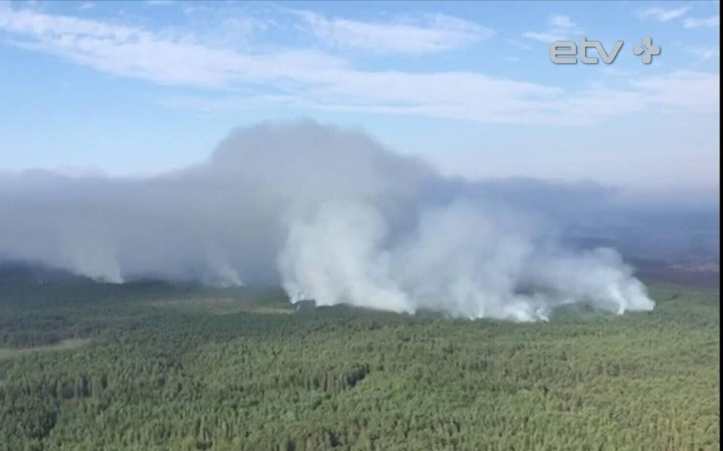Лесной пожар в Латвии продолжается уже неделю.