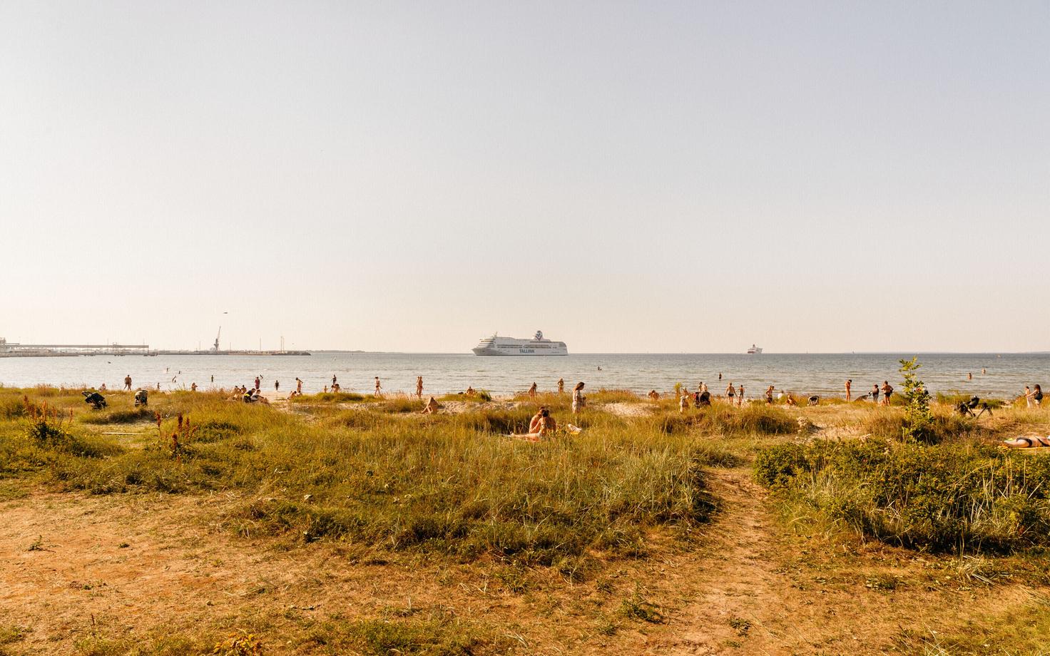 Sunbathers along Tallinn Bay.