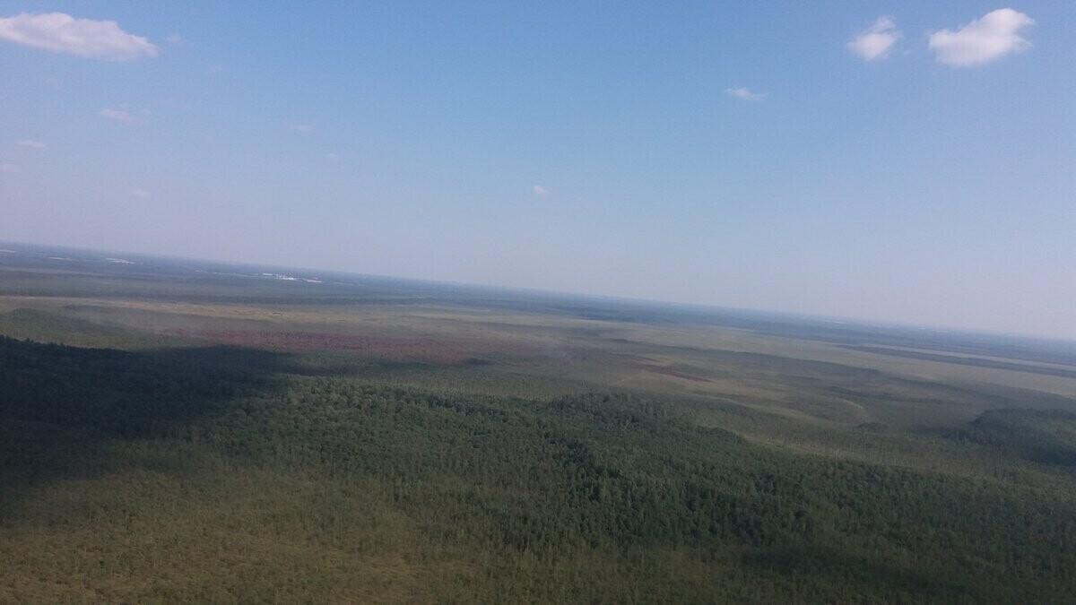 Пожар в Аалам-Педья потушен