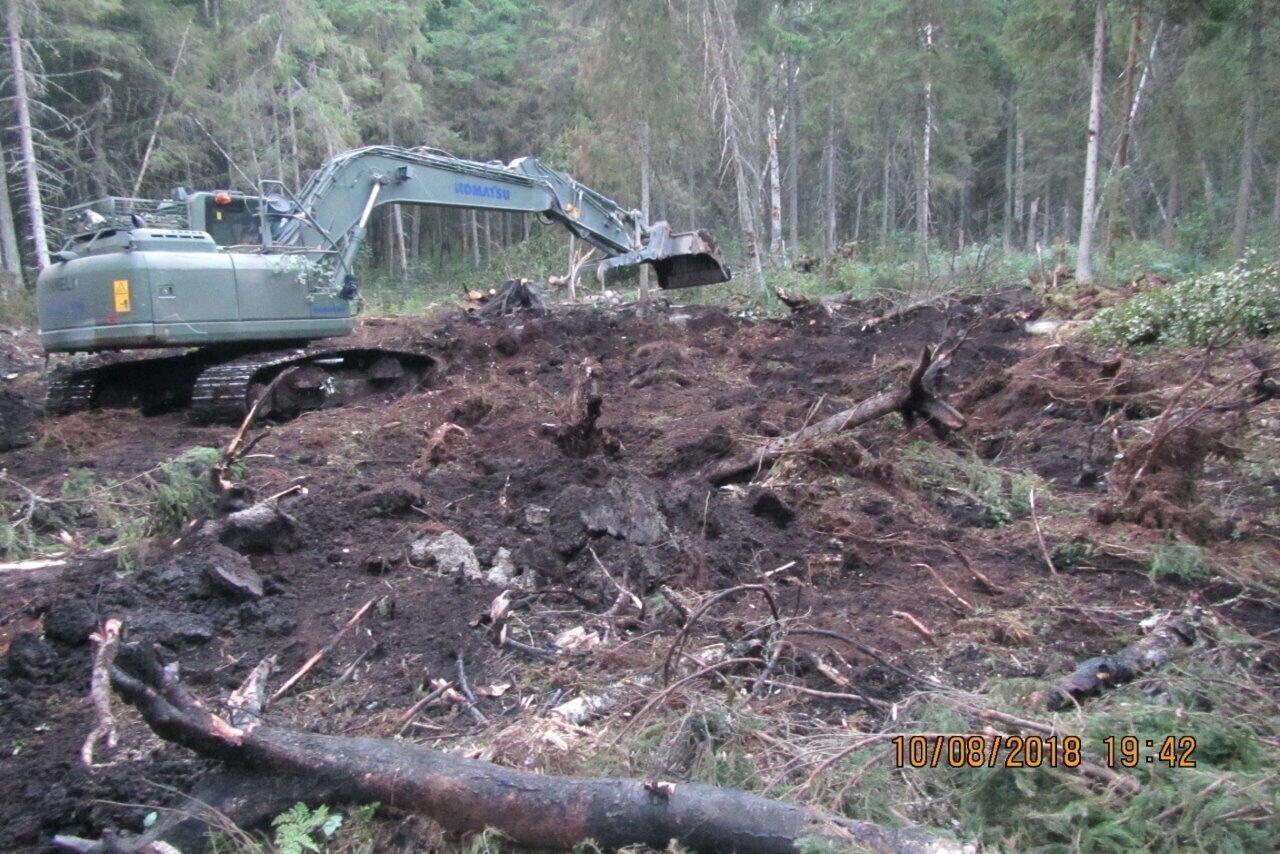 Поиски ракеты на болоте.