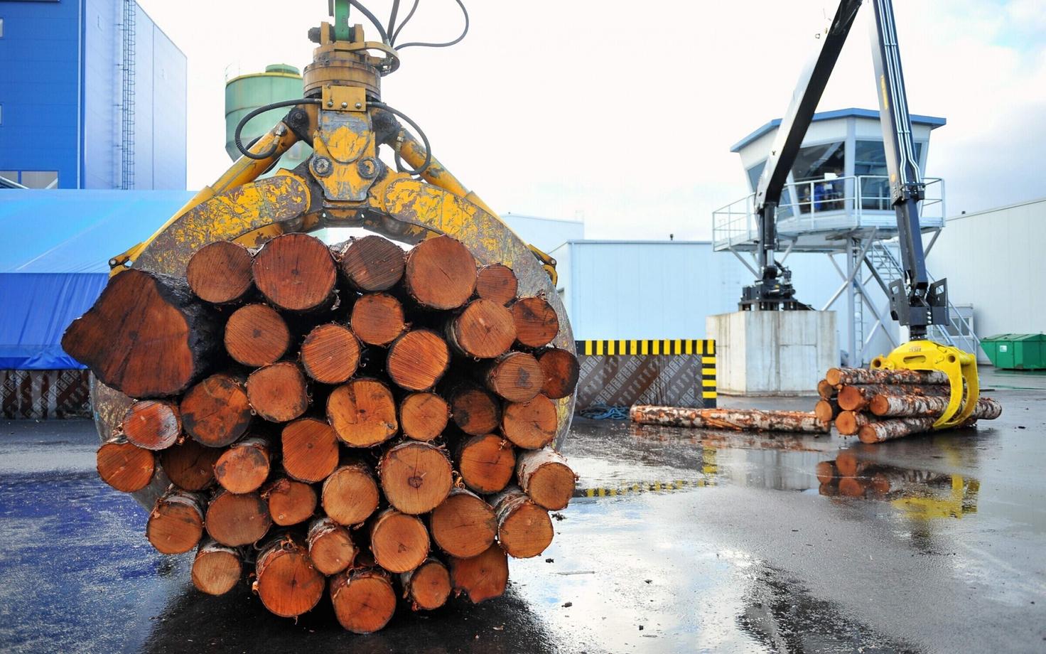 Завод будет производить до 50 000 кубометров фанеры в год.