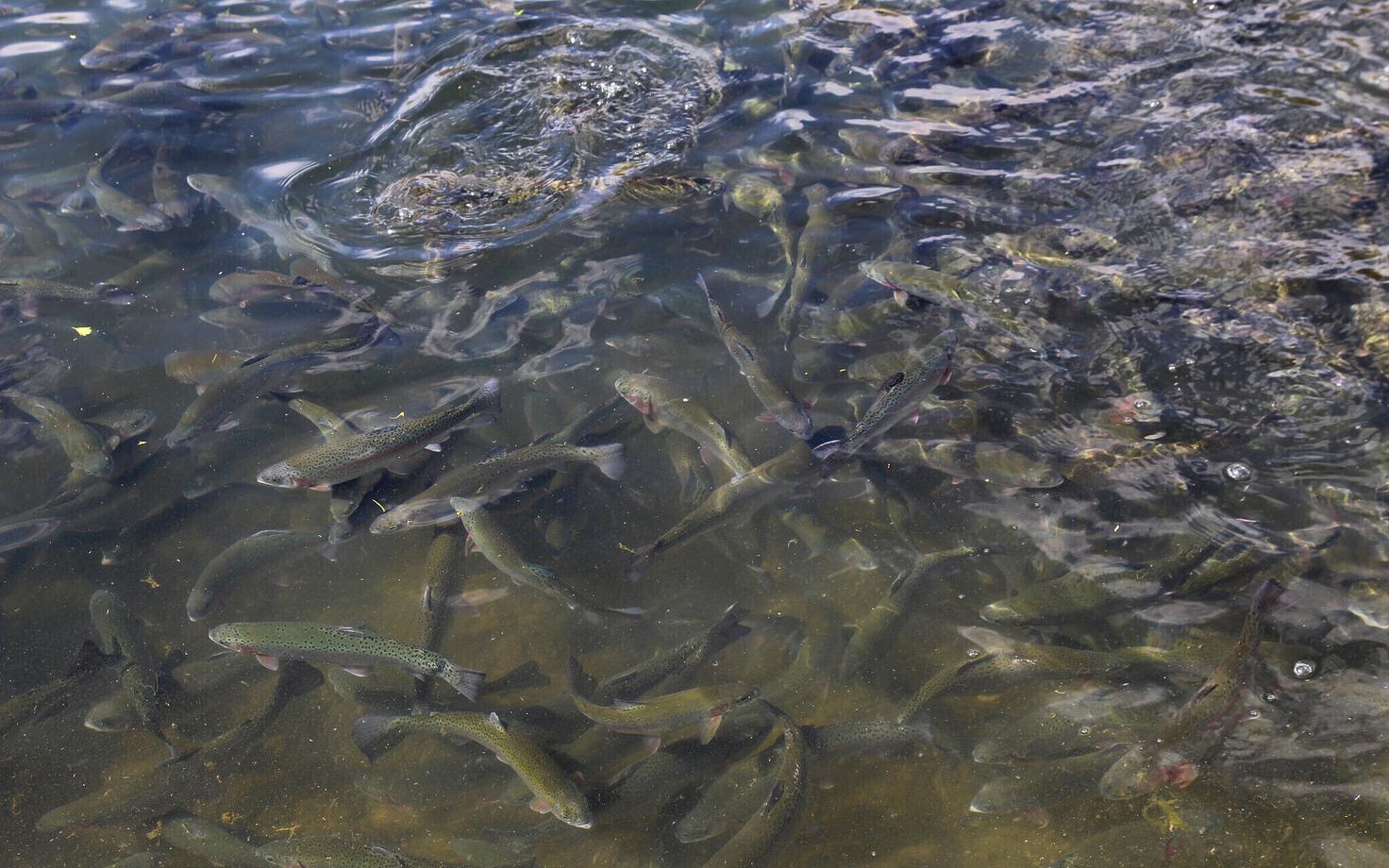 Иллюстративная фотография.