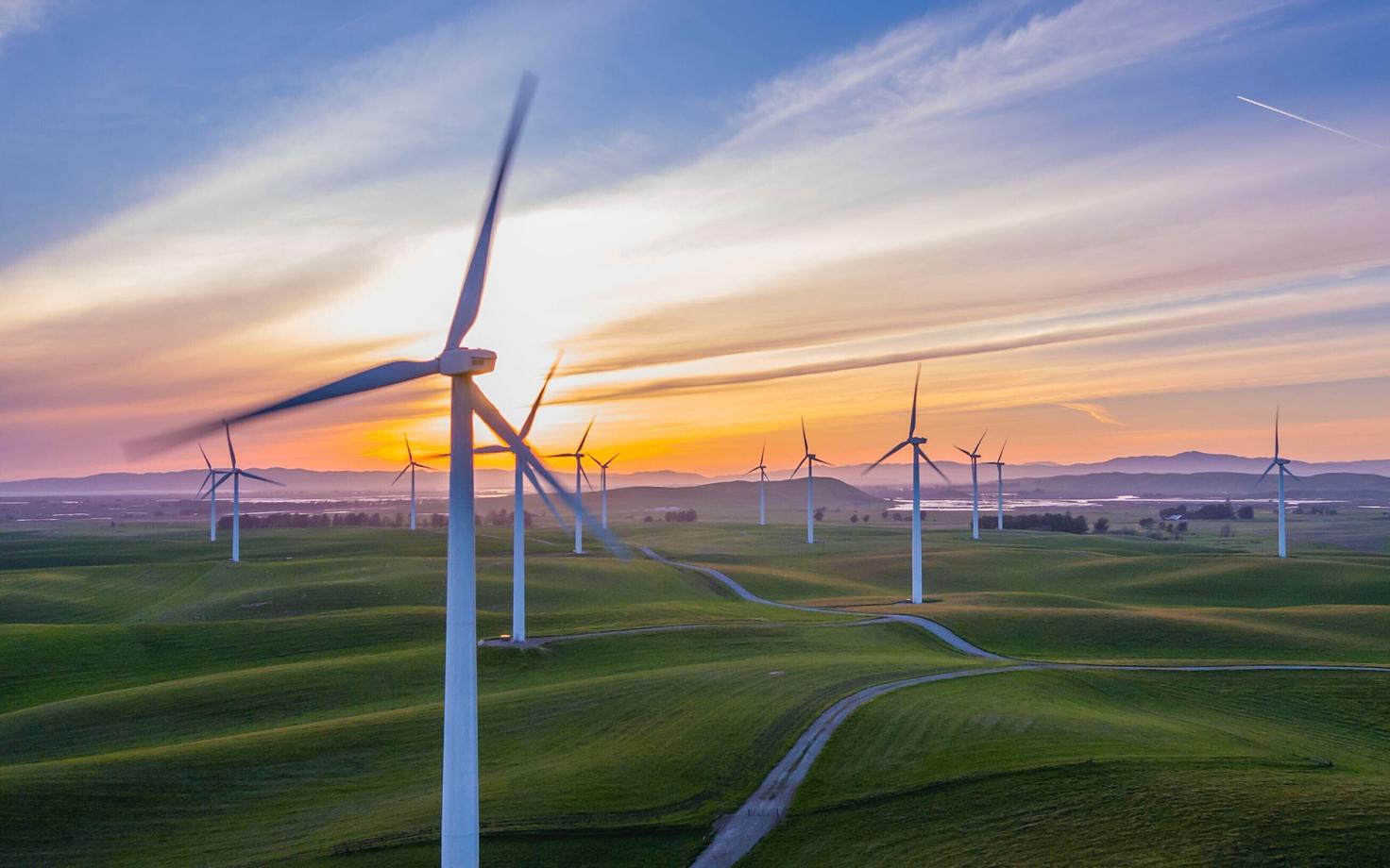 Tuulepargid avaldavad mõju tervele toiduahelale.