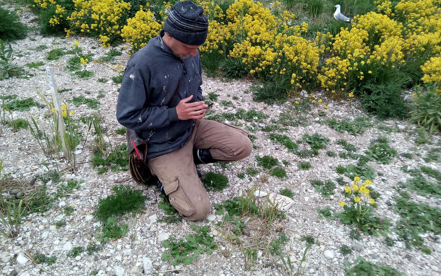 Janek Urvik Kakrarahu kalakajaka koloonias välitöödel.