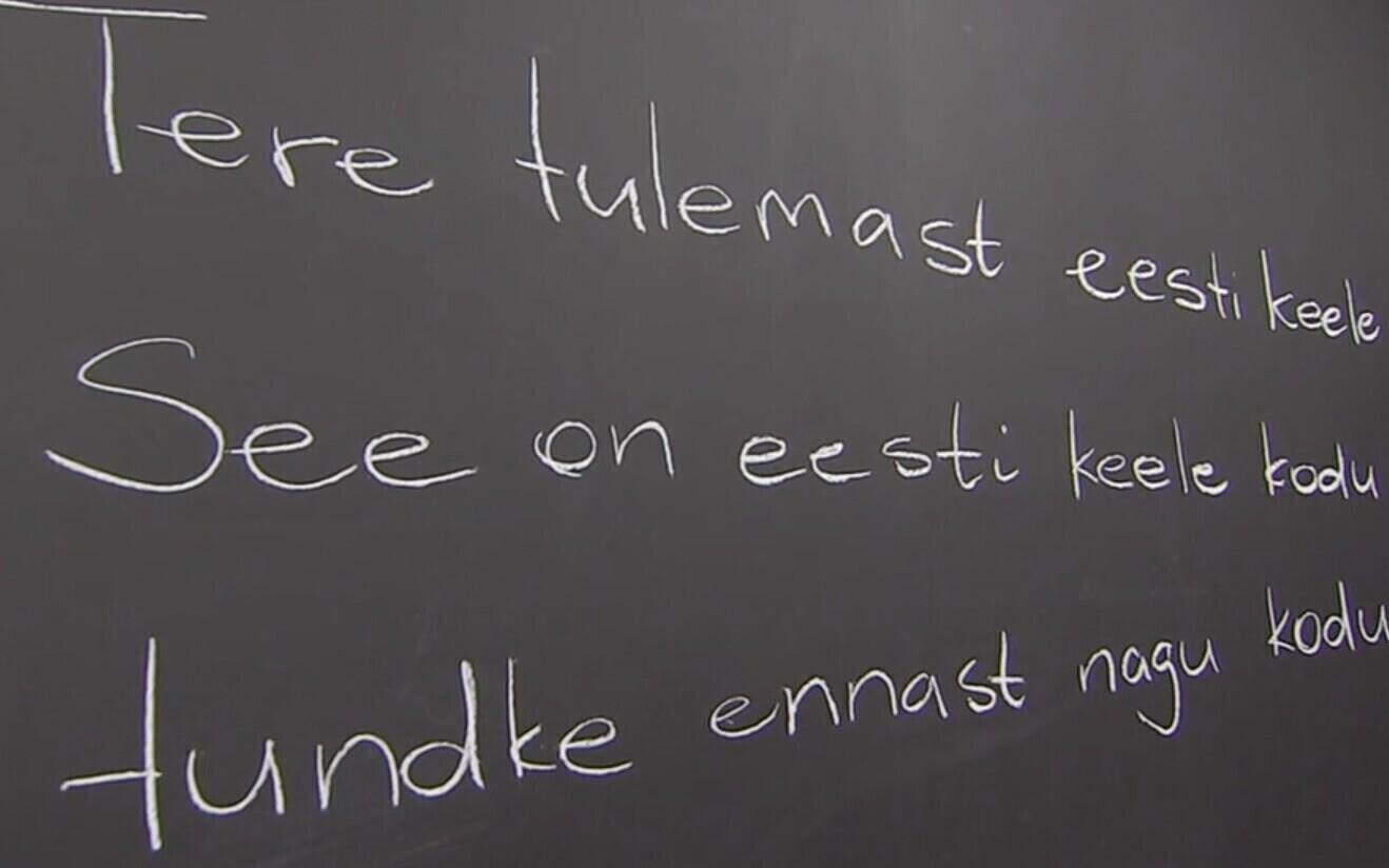 Фото иллюстративное. В Москве обучат азам эстонского языка.