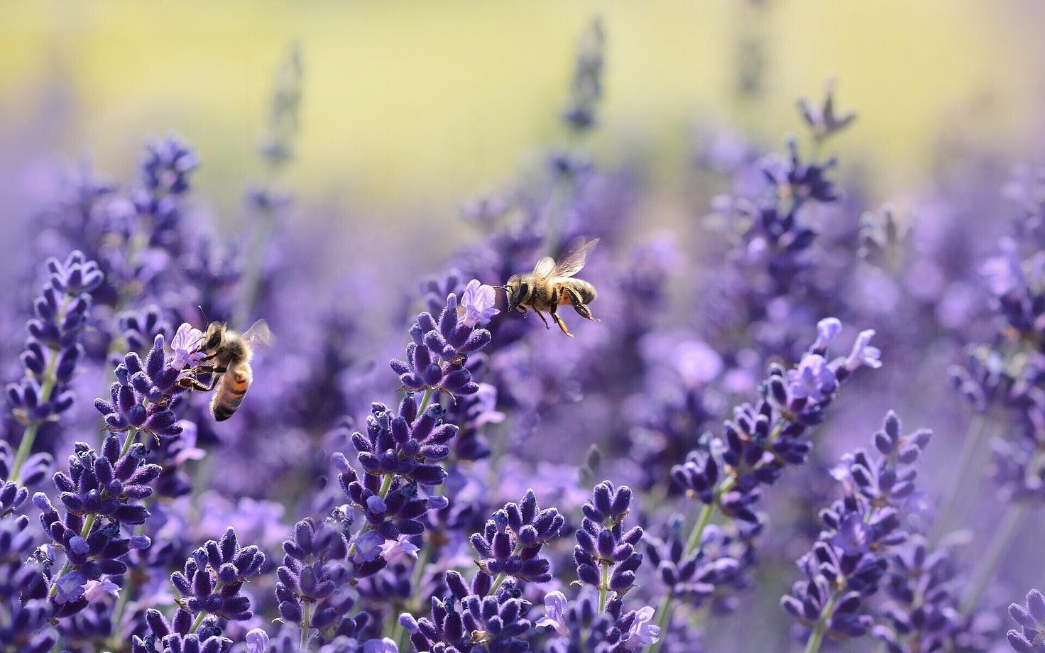 Иллюстративная фотография.