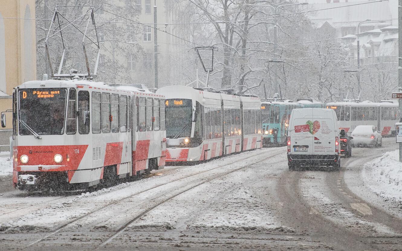 Трамваи. Иллюстративная фотография.