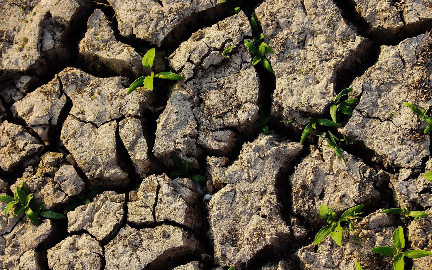 Inimtegevus on üks peamisi põhjusi, miks mullaviljakus langeb.