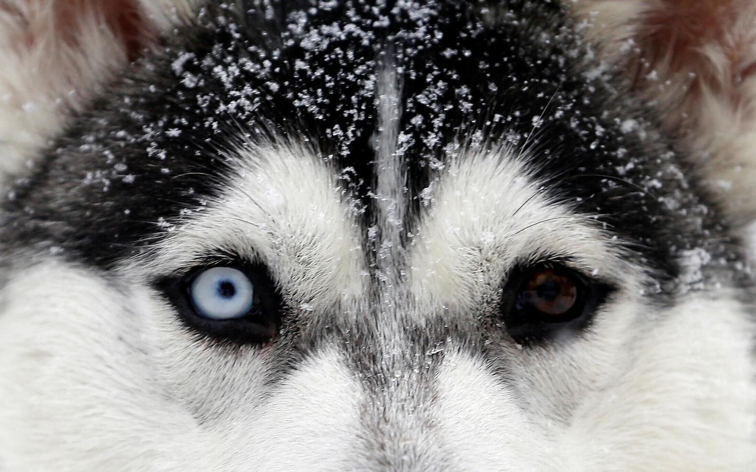 Иллюстративная фотография.