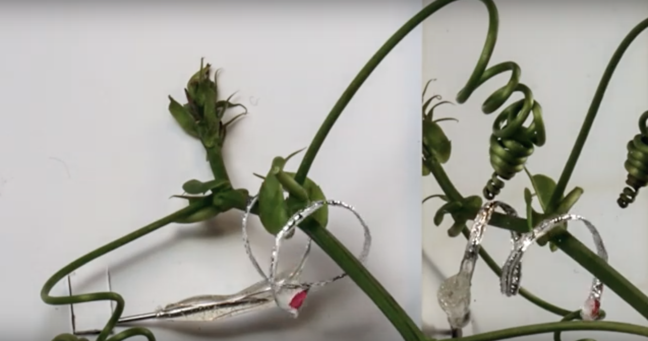 Robotväädi toimimise põhimõte.