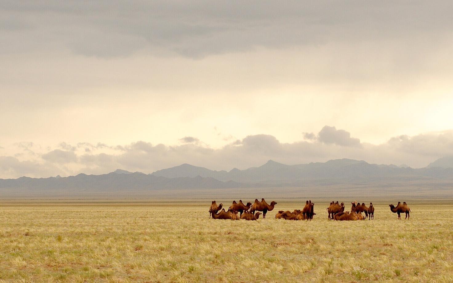 Иллюстративная фотография.