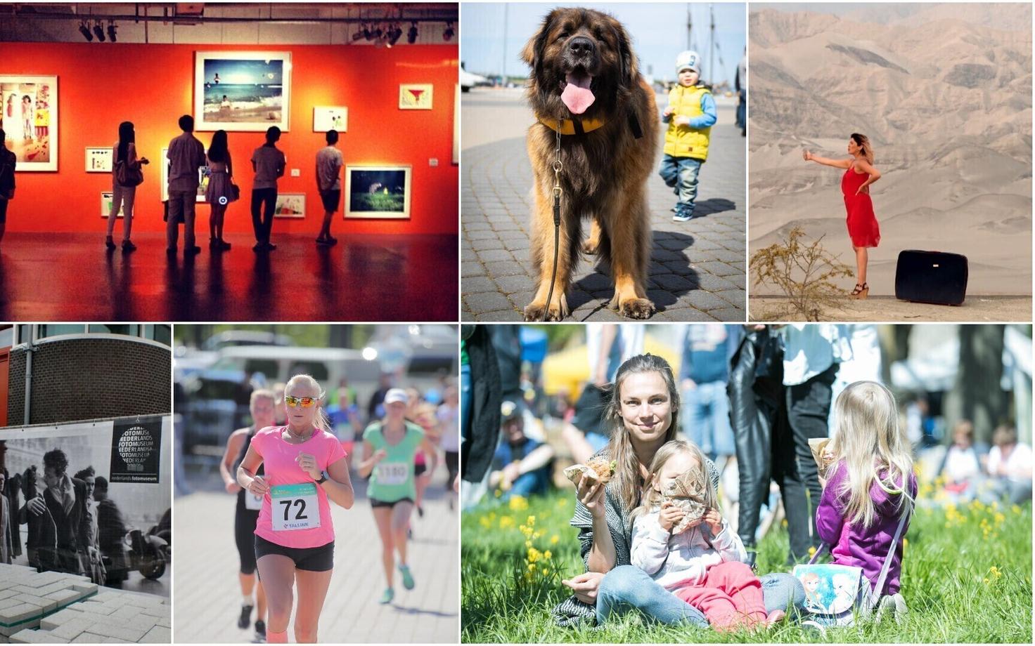 Куда пойти в выходные.