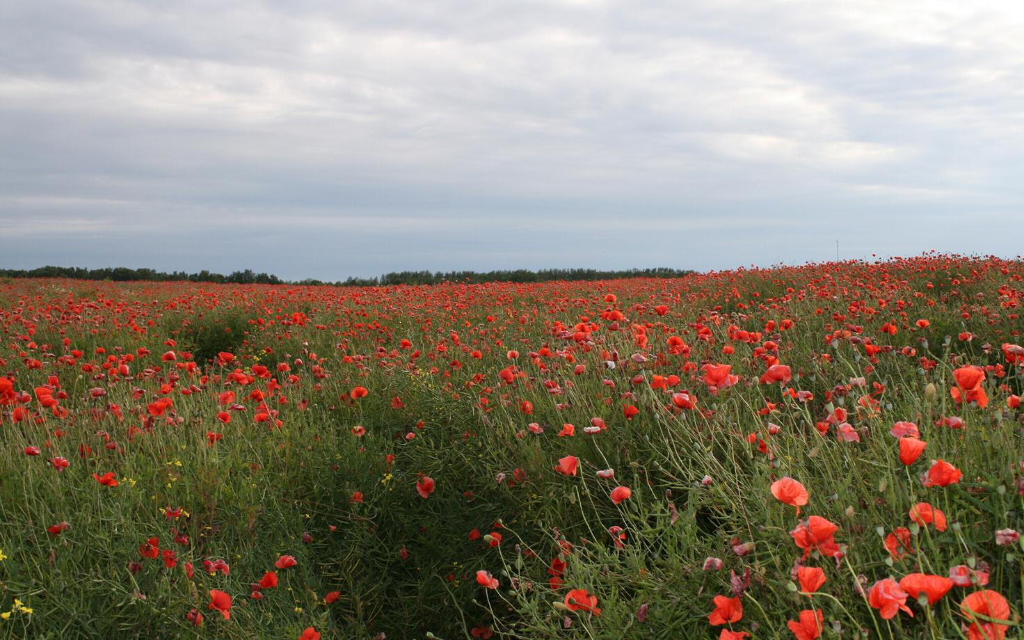 Во вторник будет солнечно и тепло.