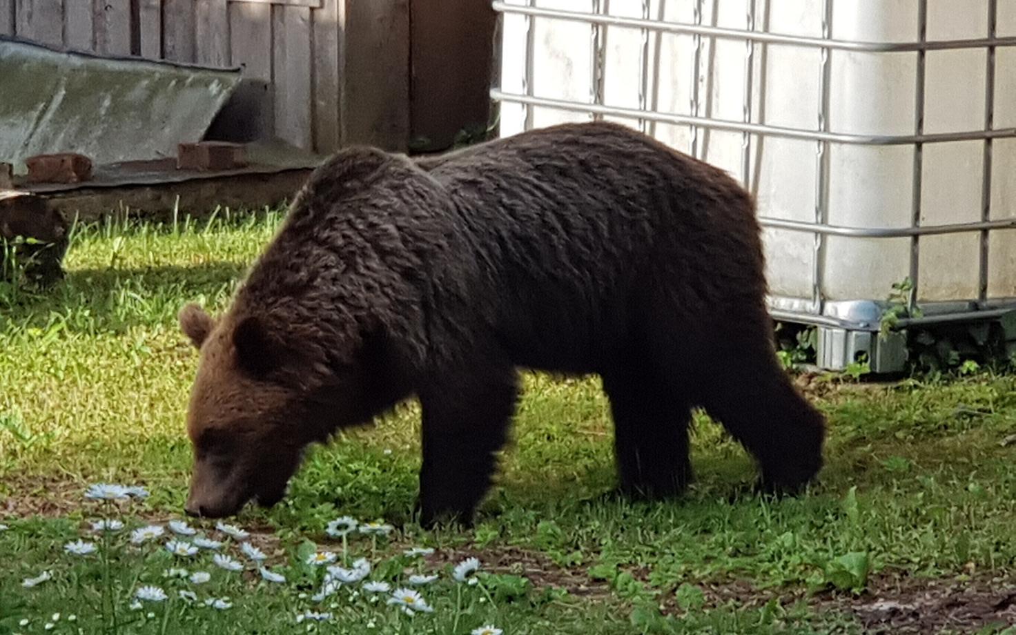 Karud Valgas. Foto on illustratiivne.