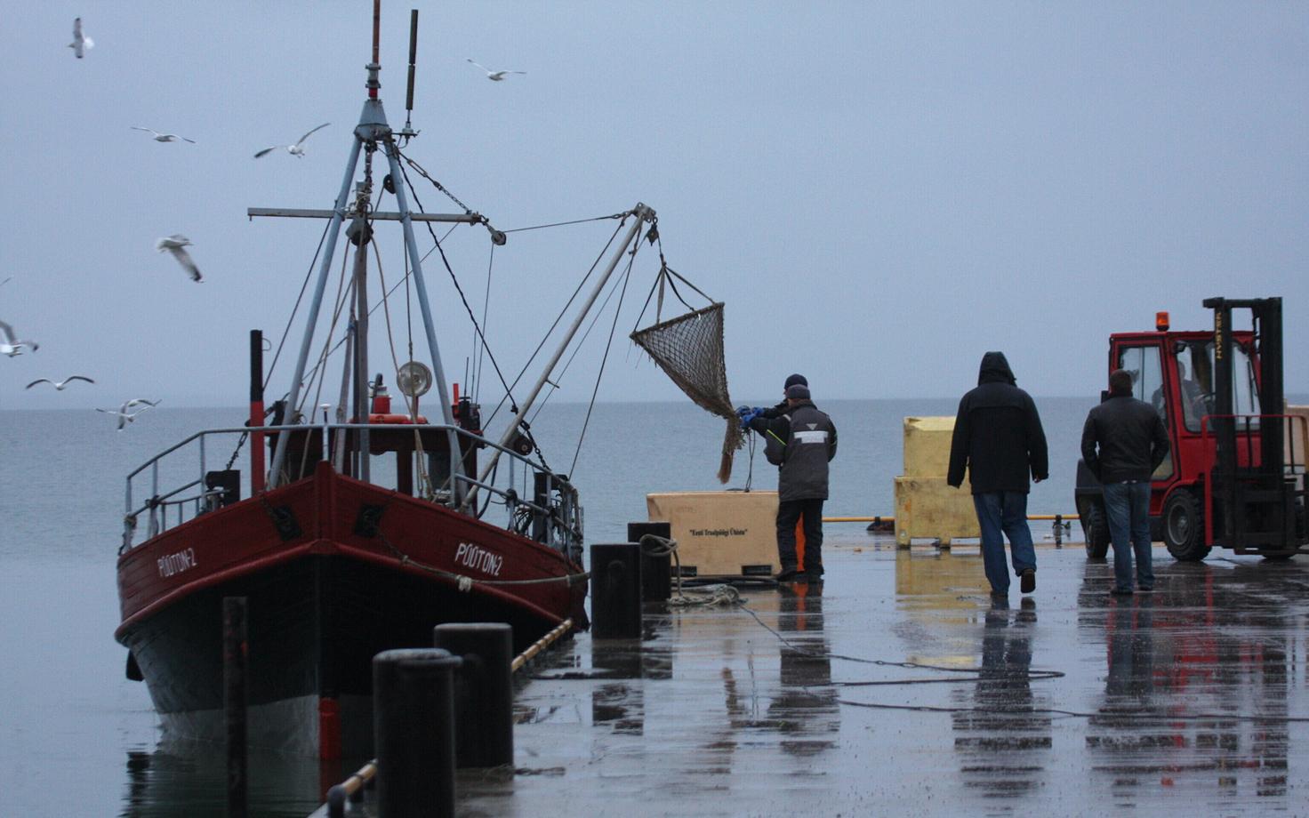 Двигатели рыбацких судов отказываются работать на топливе с биодобавками. Иллюстративная фотография.