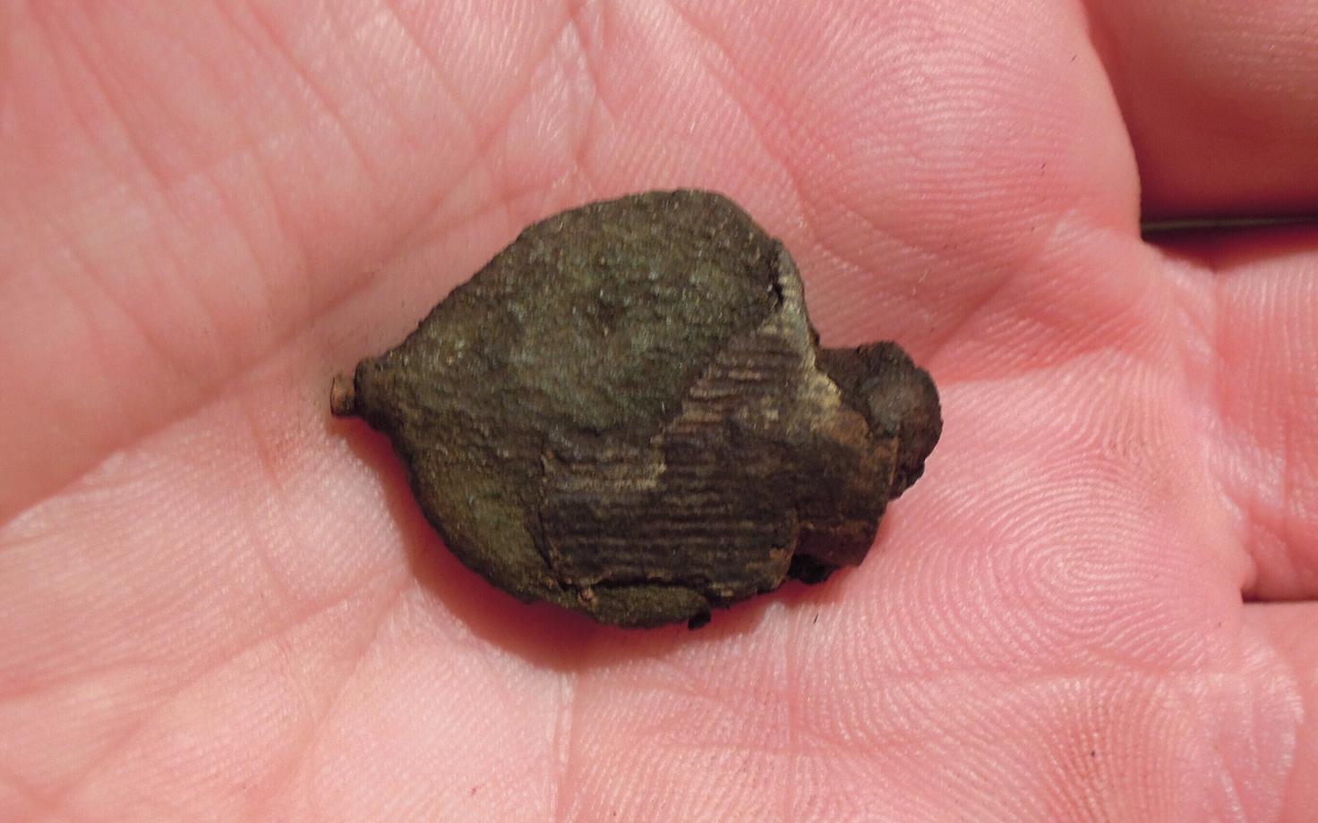 Mooninuppotstega ammukujulise sõle fragment (mooninupp).