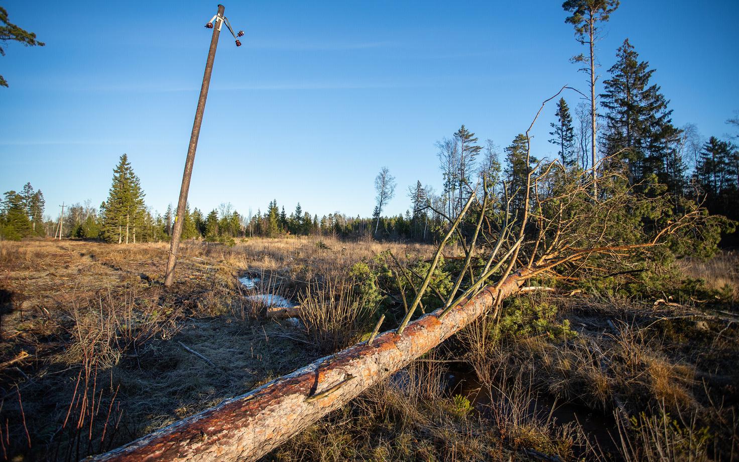 Иллюстративная фотография.