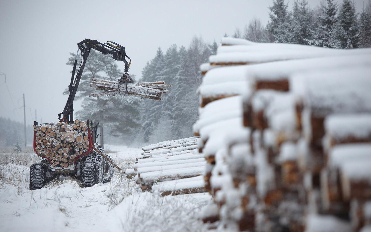 Оптовые закупки дизтоплива в основном осуществляют крупные предприятия.