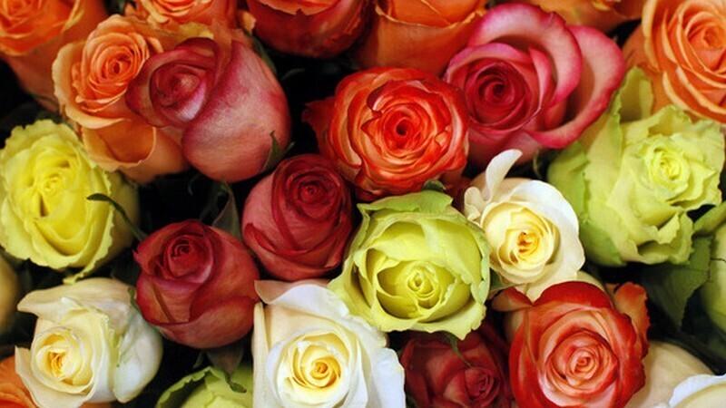 Kui olla õppimise ja magamise ajal näiteks roosilõhna keskel, siis jääb õpitu paremini meelde.