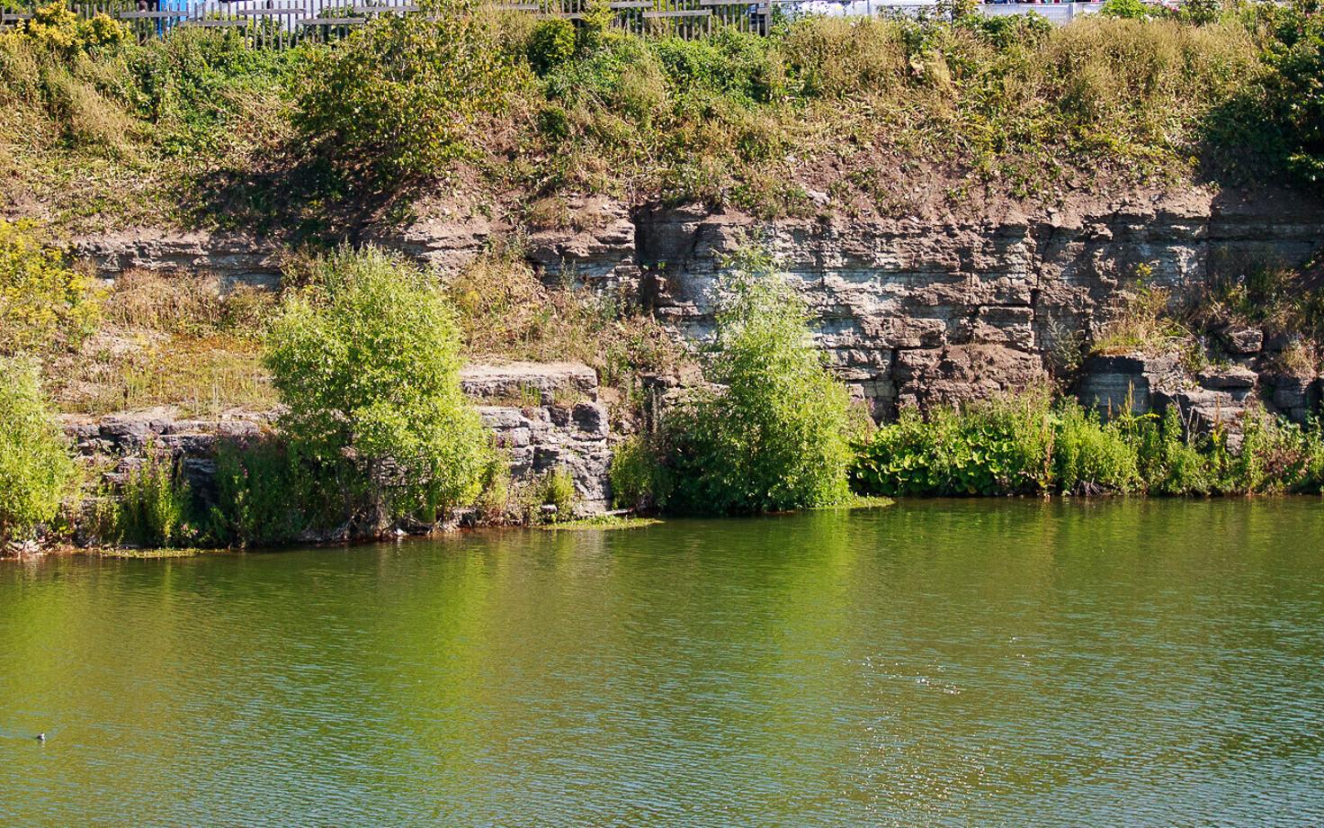 Пруд в парке Паэ.