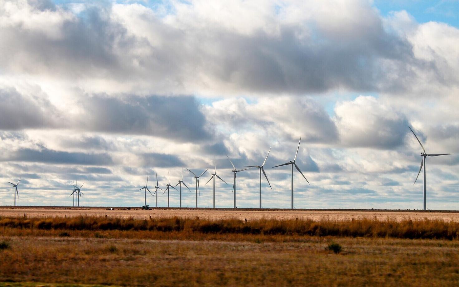 Ветропарк. Иллюстративное фото.
