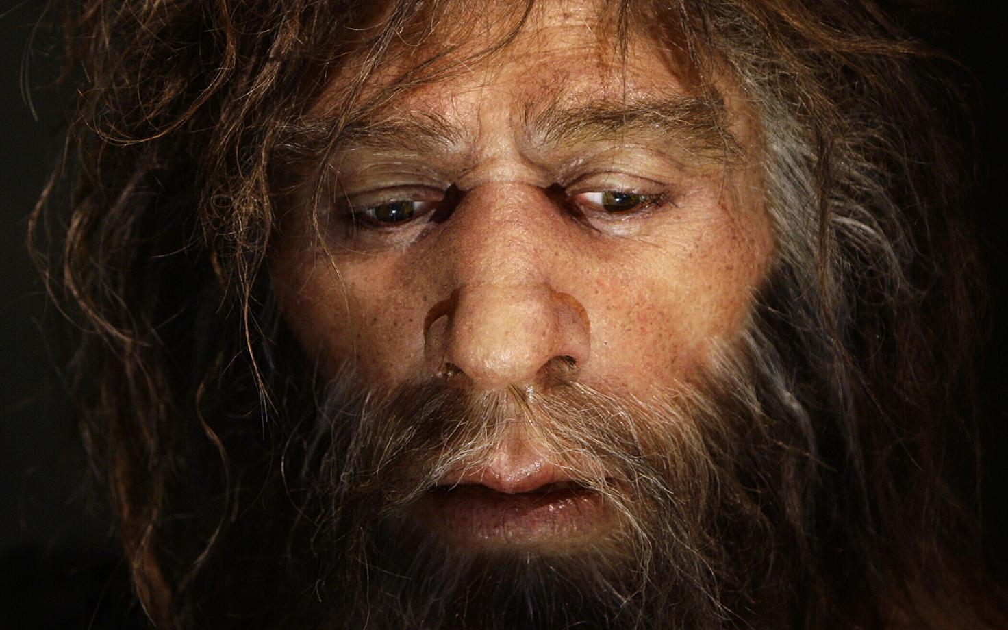 Hüperrealistlik neandertallase rekonstruktsioon.