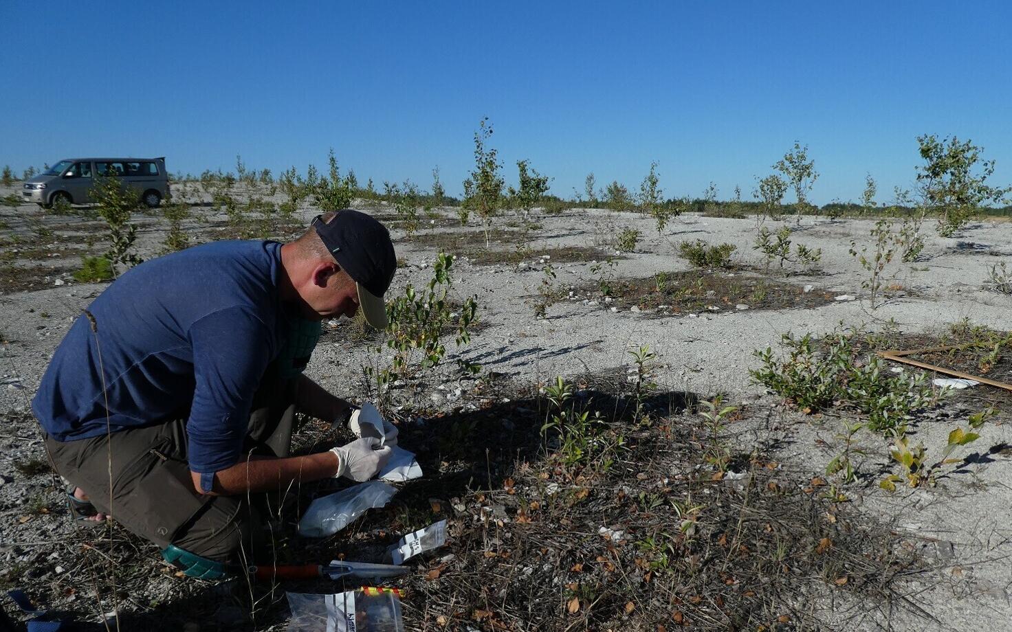 Tanel Vahter uuringuruudust proove kogumas.