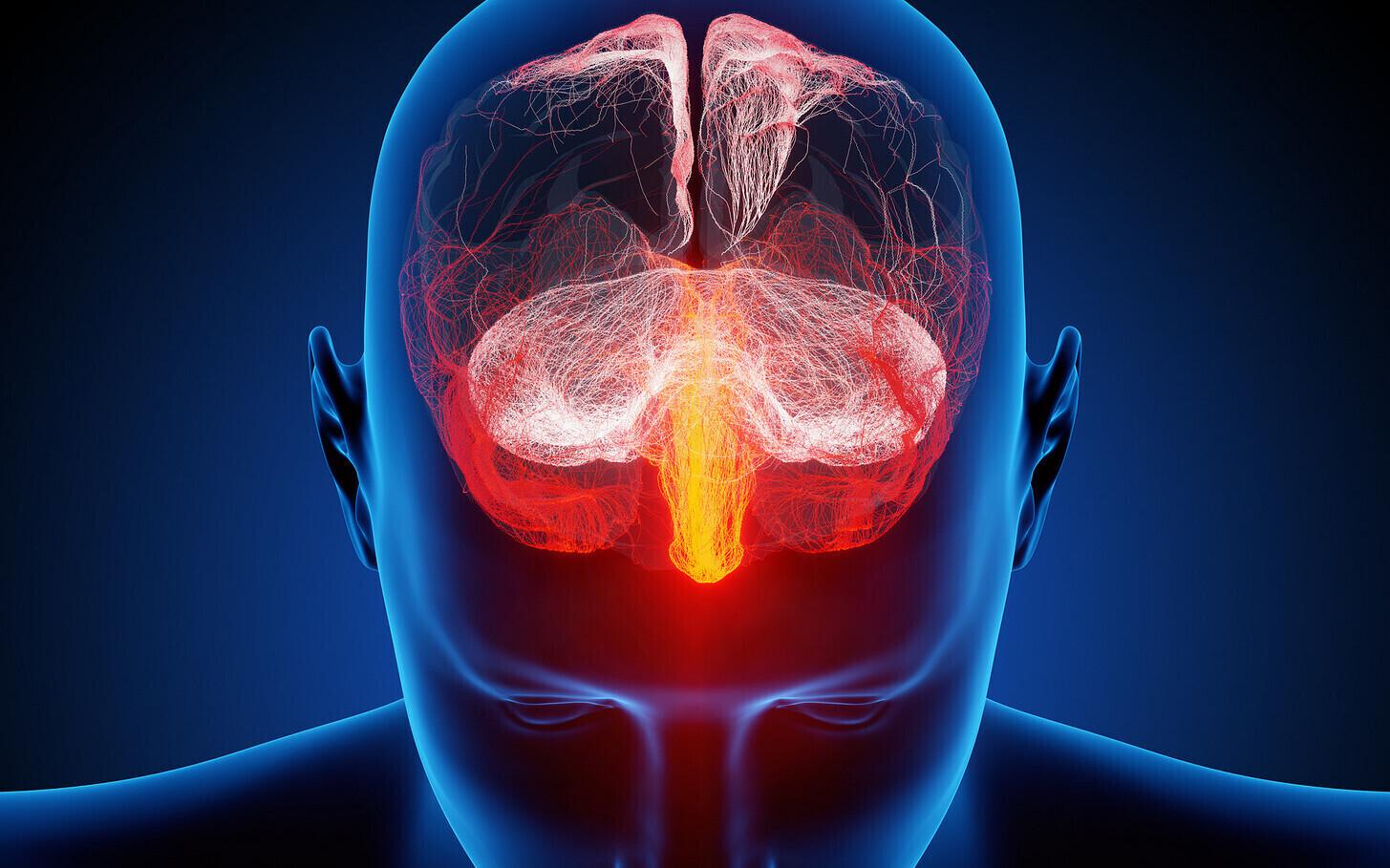 Deklaratiivne mälu tähendab võimet mäletada sündmusi, fakte, sõnu jms.