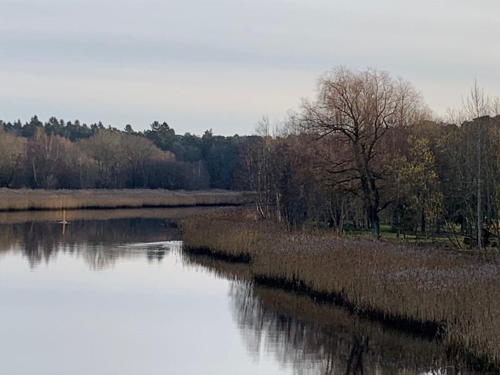 Jõgede puhul tuleb lisaks toiteainetega rikastumisele arvestada ka muu reostuse, kliima soojenemise, vooluhulga muutuse ja setetega.