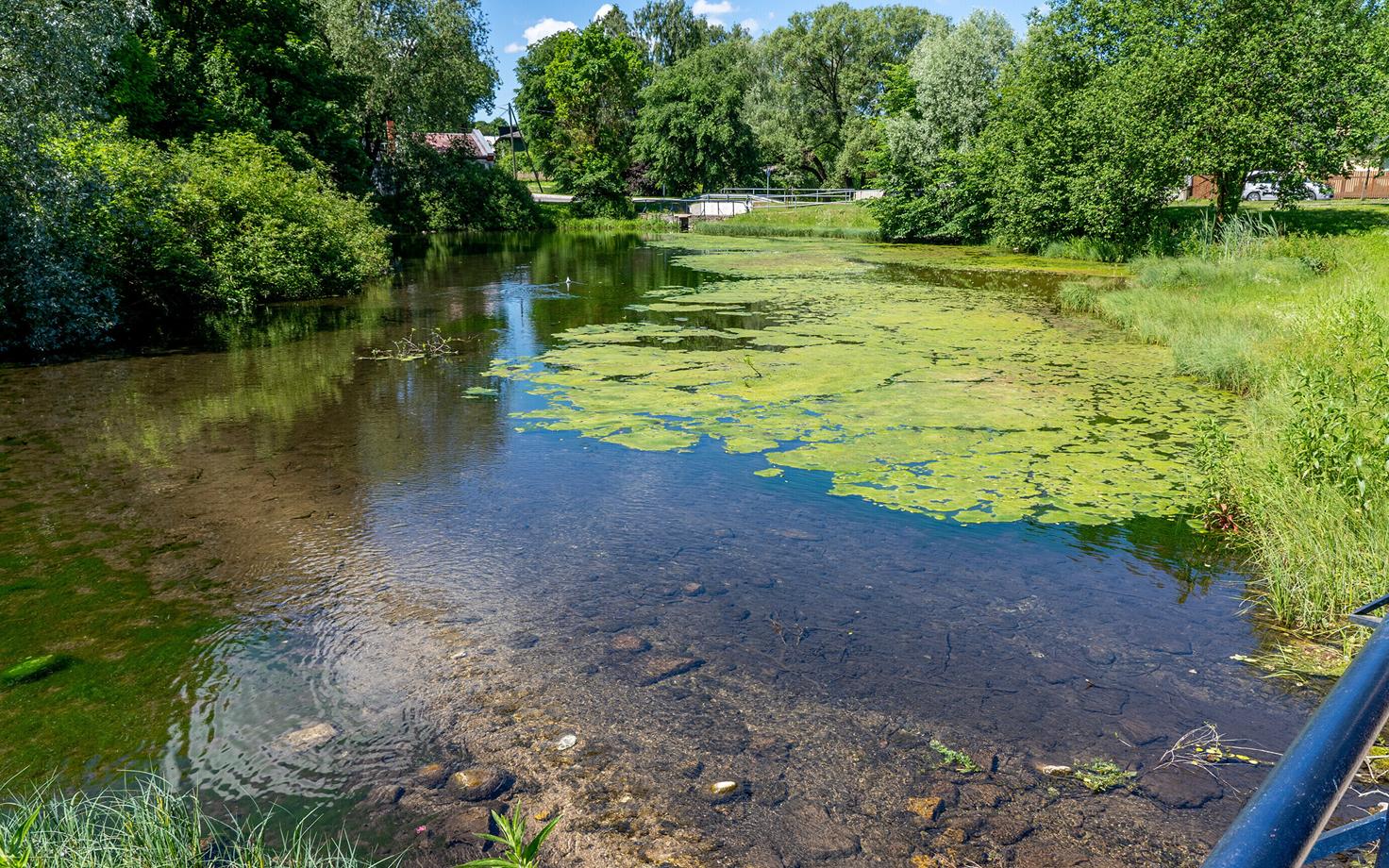 Euroopa Liidu veepoliitika üheks suureks eesmärgiks on kõikide meie veekogude hea seisundi saavutamine.