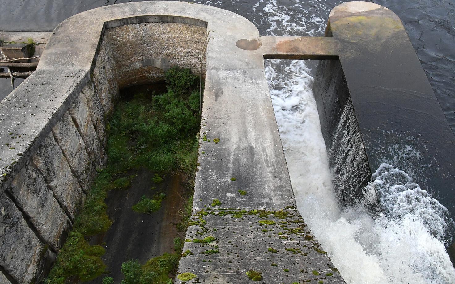 Kinnimüüritud ja rohtu kasvanud kalatrepp Linnamäe paisul
