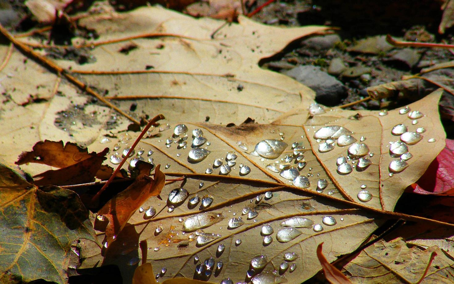 Иллюстративная фотография.
