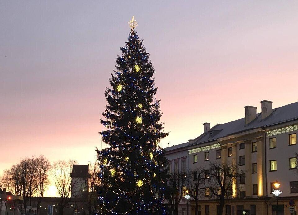 Narva linnavalitsuse ette on kerkinud jõulukuusk.