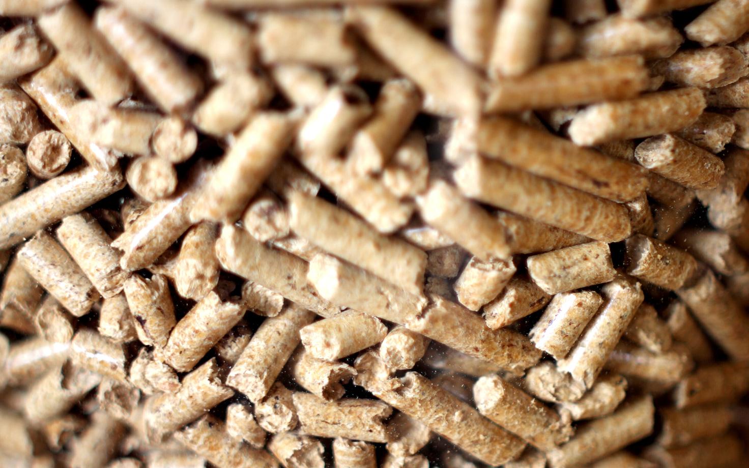 Eriti suur vastuseis on Ameerika Ühendriikides tekkinud puidugraanuli- ehk pelletitööstusele, mis üleilmse nõudluse tõttu üha laieneb.